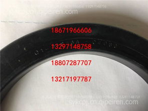 東風(fēng)天翼新能源客車(chē)油封S36 純電動(dòng)客車(chē)油封價(jià)格、圖片與配件廠(chǎng)家全解析